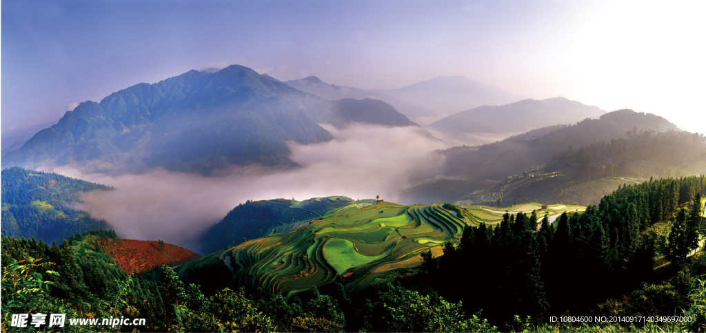 加鸠梯田