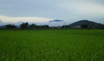田园风光