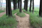 路