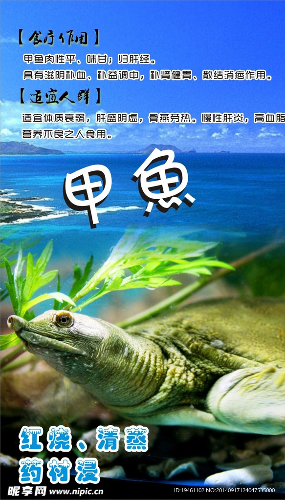 甲鱼海鲜 海报