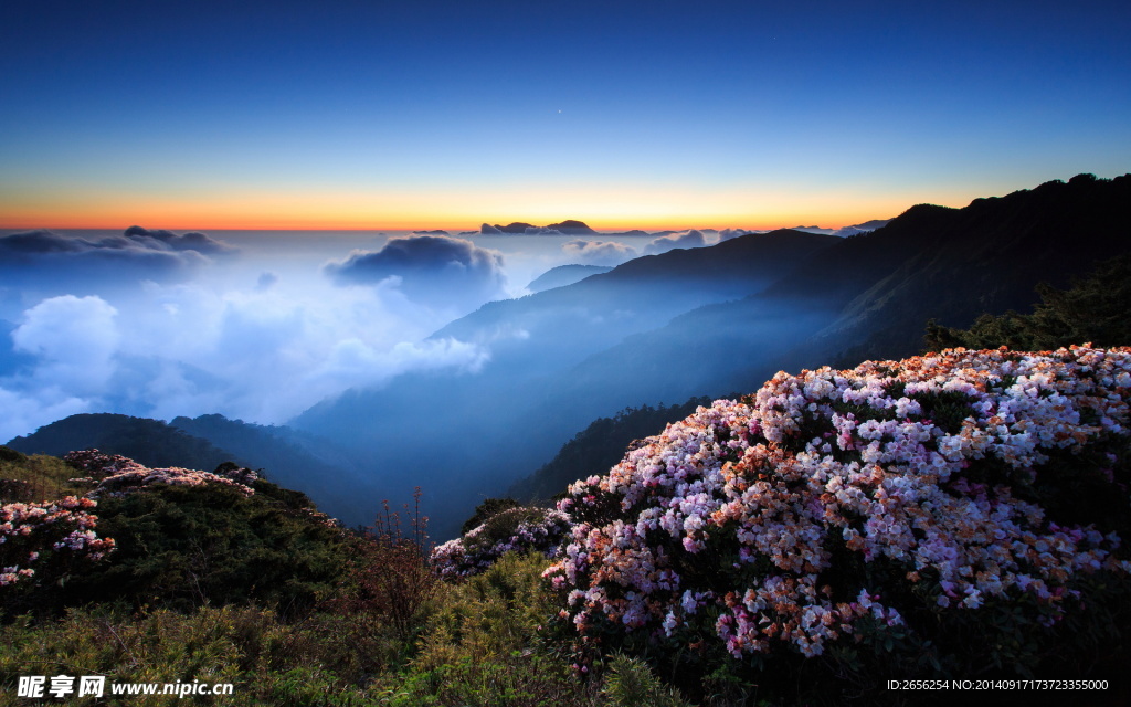 山顶繁花似锦