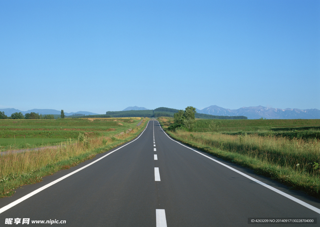 道路