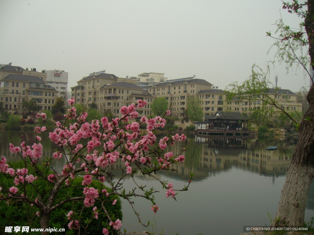 住宅风景图片