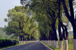 公路