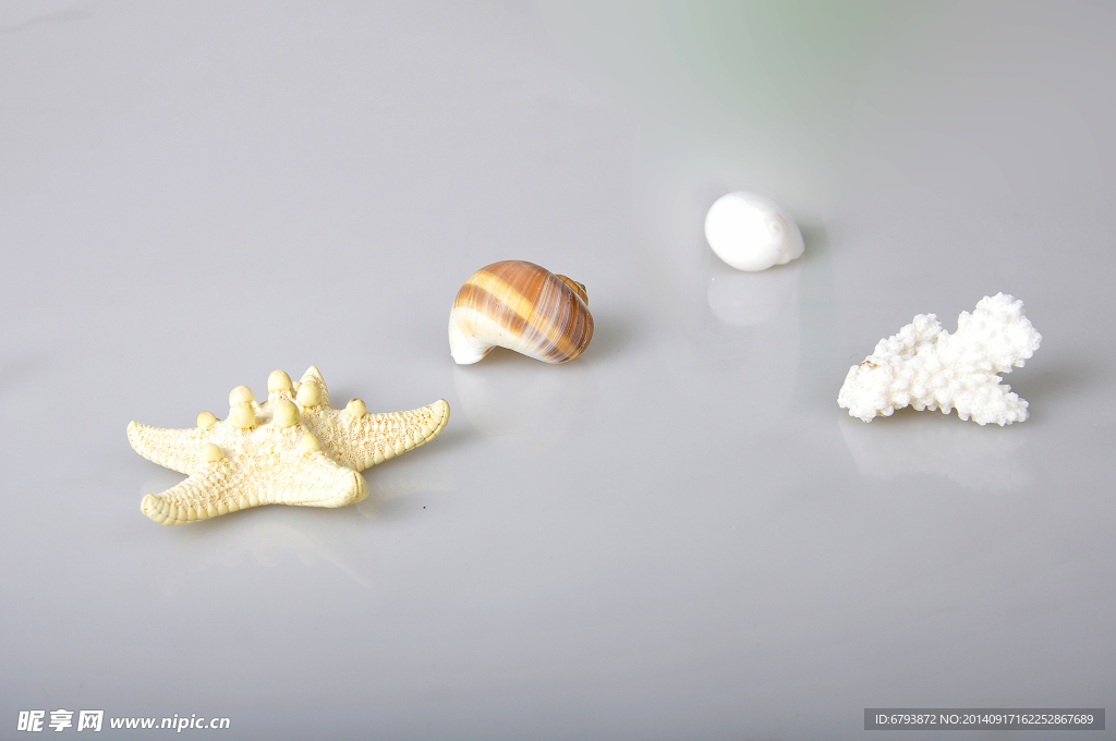 海星