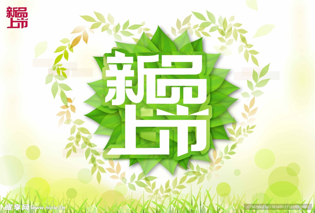 A4单张新品上市