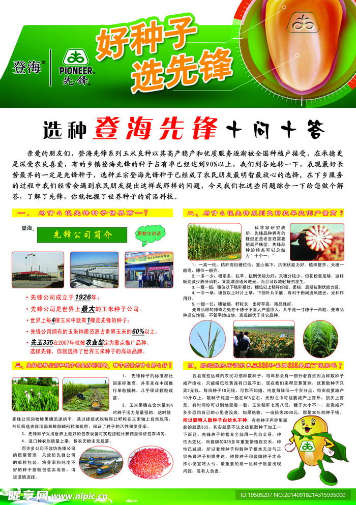 先锋种子