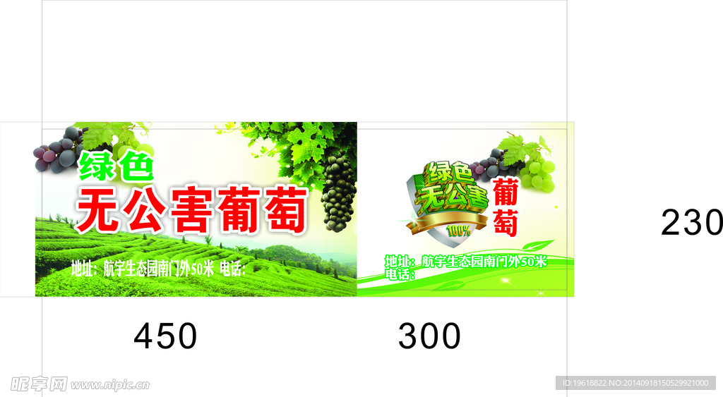葡萄大箱