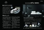 索菲莉尔