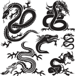 龙纹 纹身