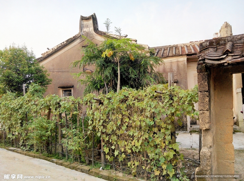 乡村风景