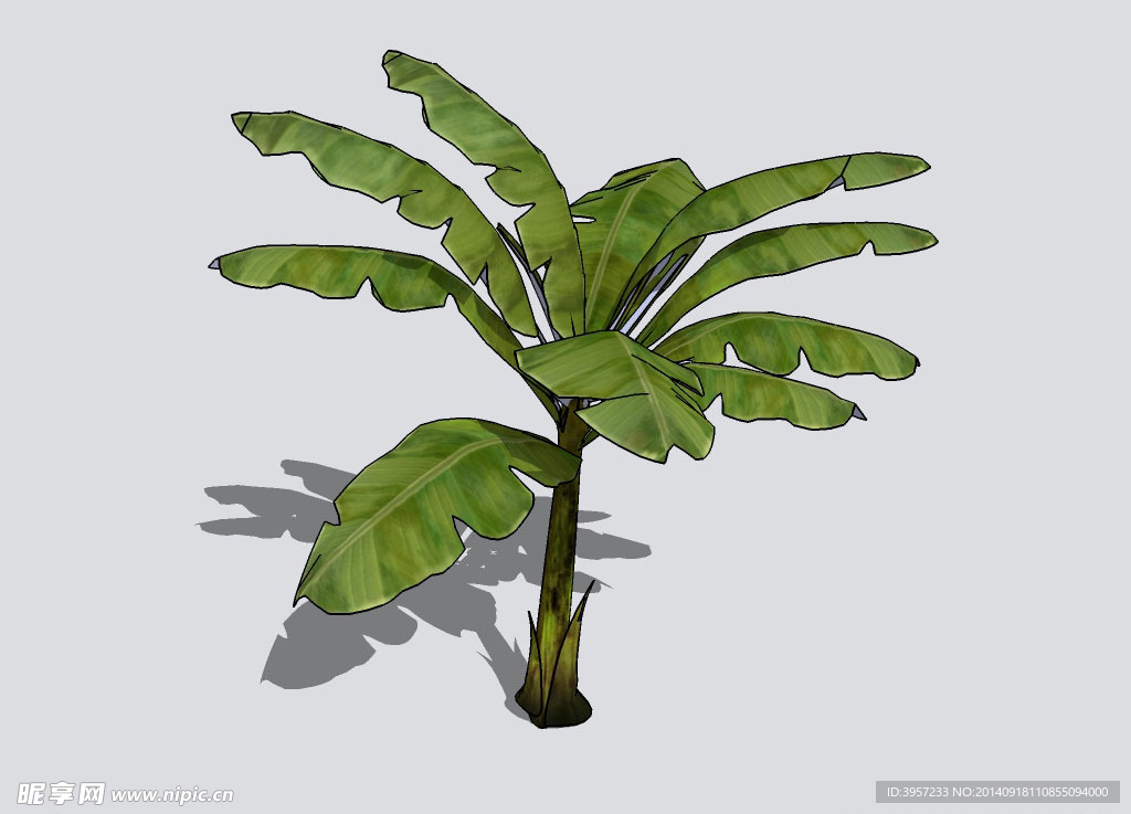 芭蕉3D模型