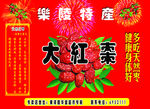 大红枣 彩页