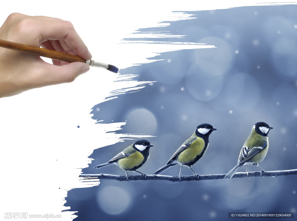 画笔下的小鸟
