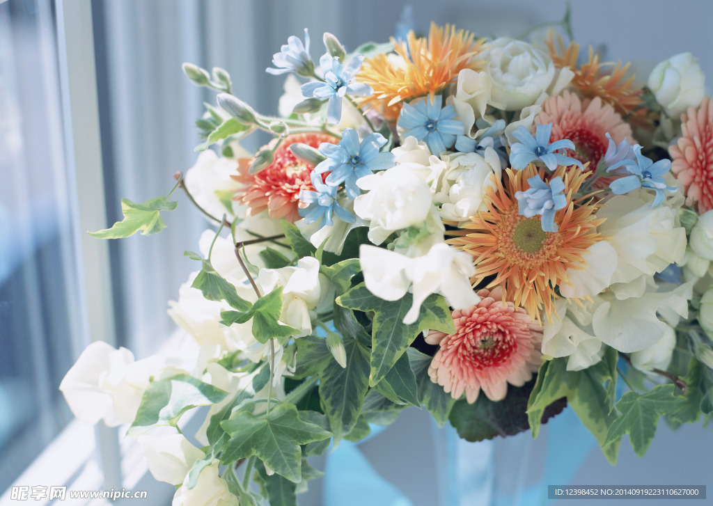 居家鲜花