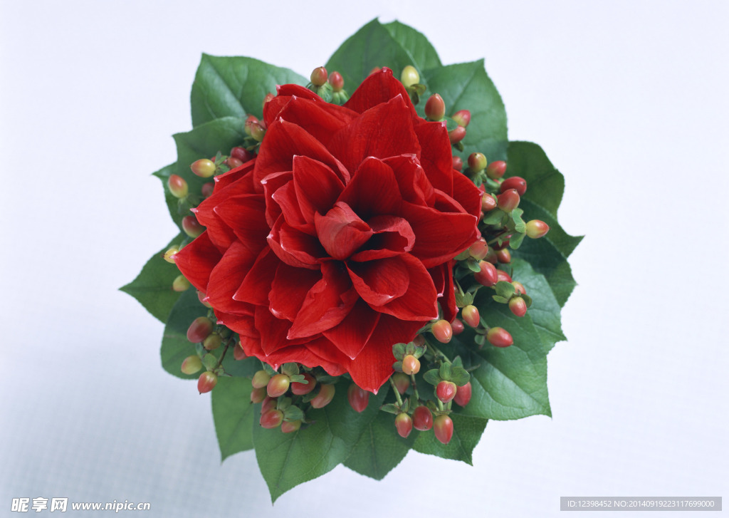 鲜花装饰