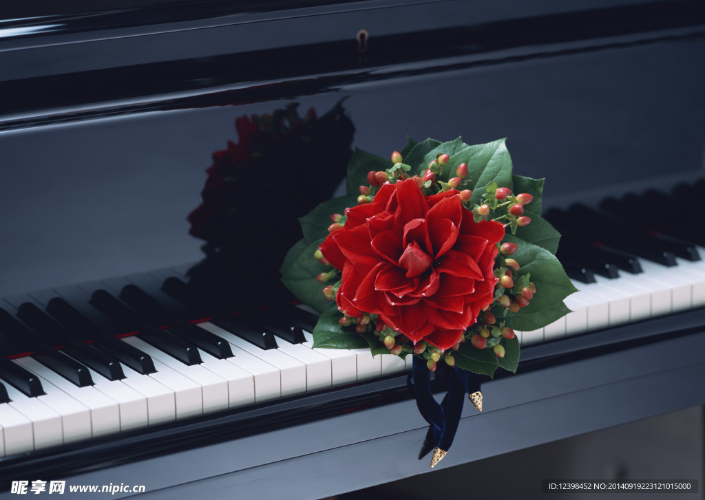 鲜花与音乐