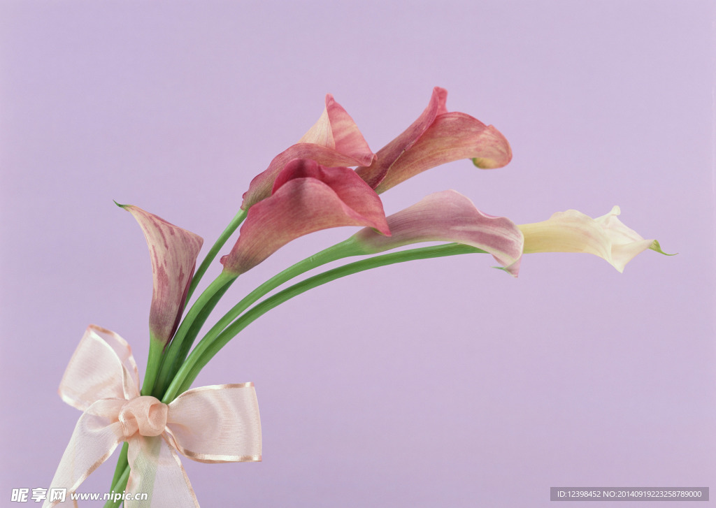 鲜花花束