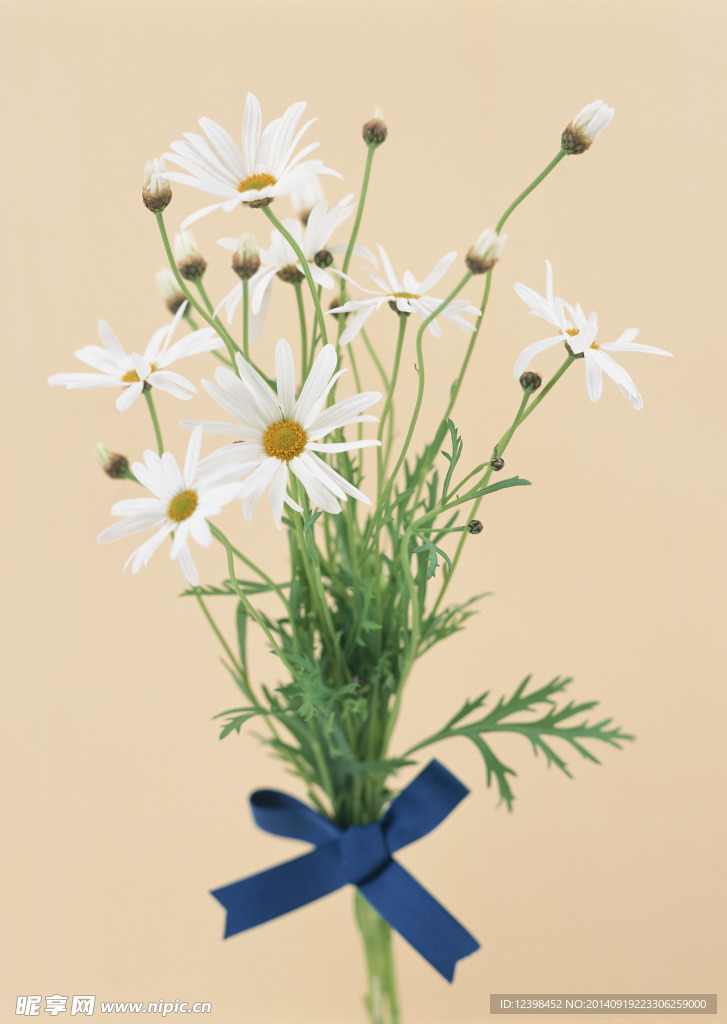 鲜花装饰