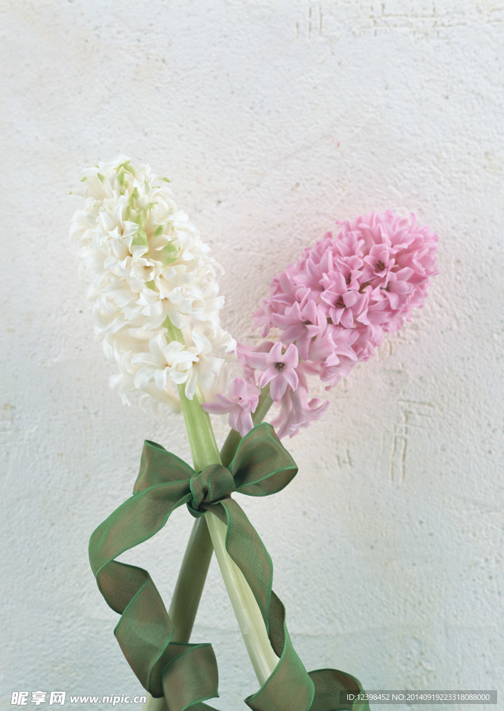 鲜花