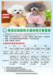 绝育活动
