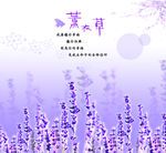薰衣草