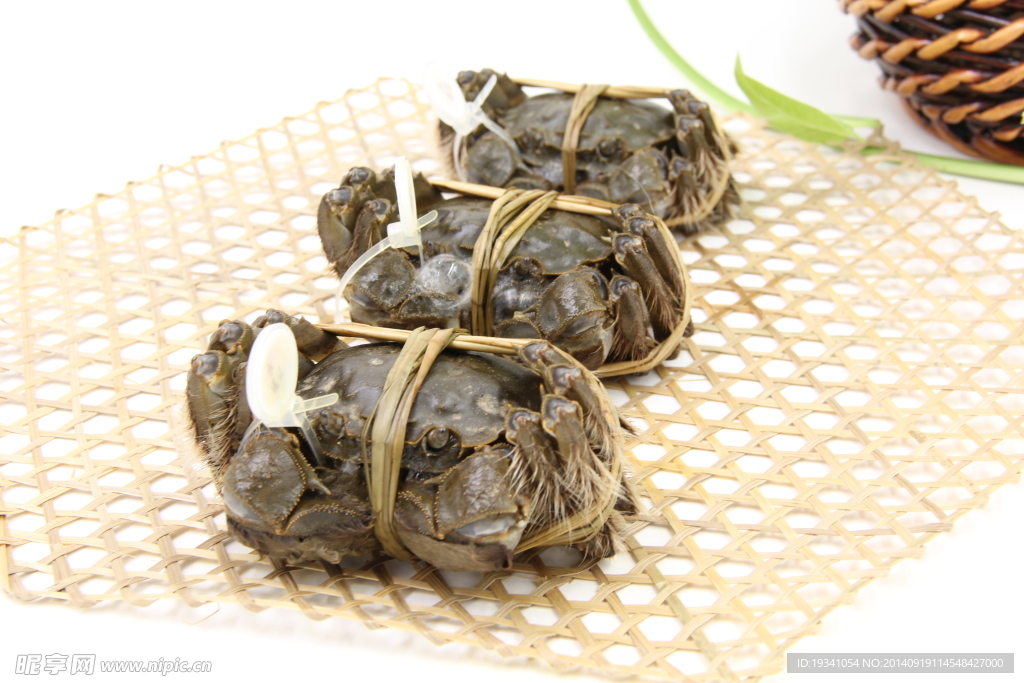 大闸蟹