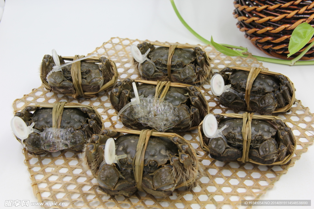 大闸蟹