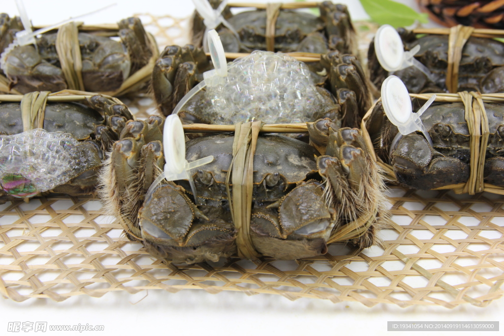 大闸蟹