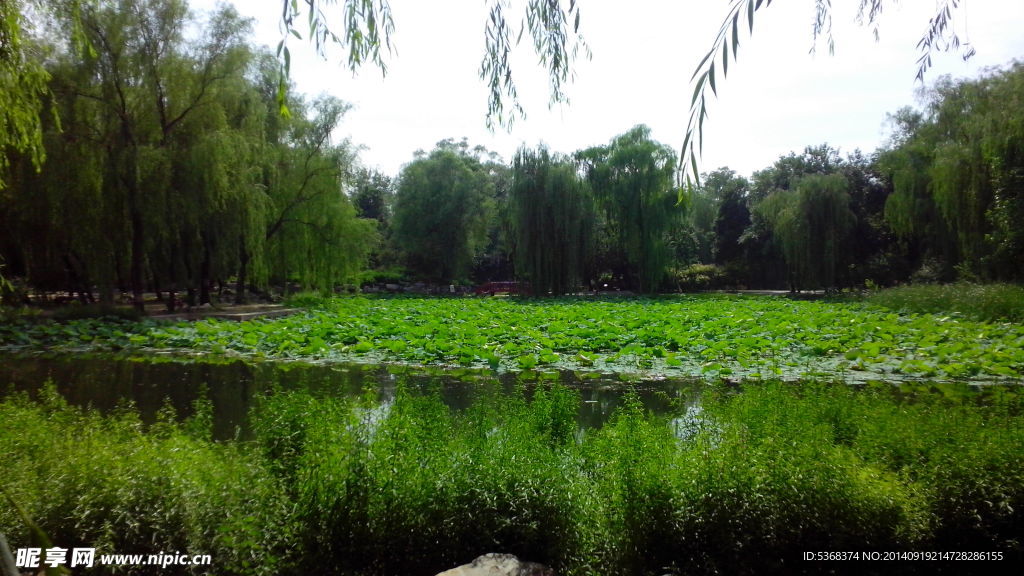 圆明园