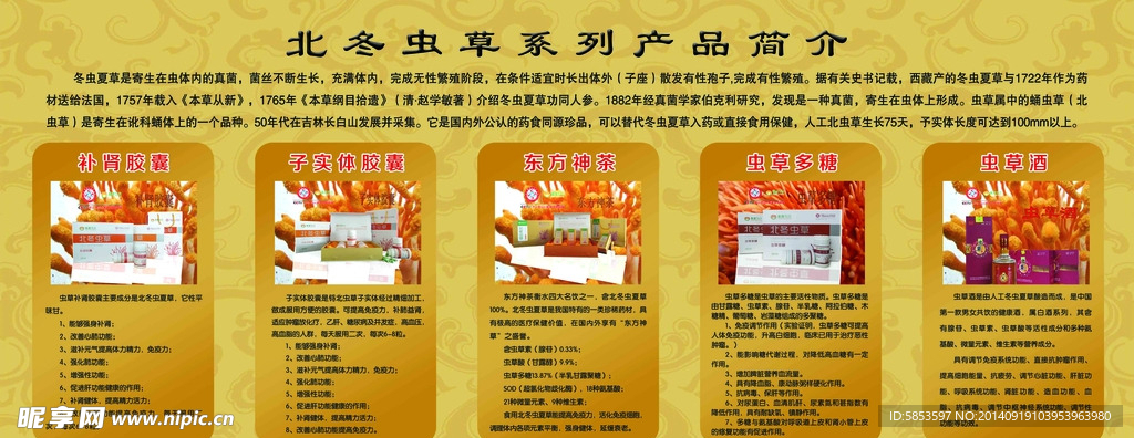 北冬虫草展板