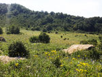 百花山 山峰