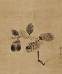 工笔花鸟