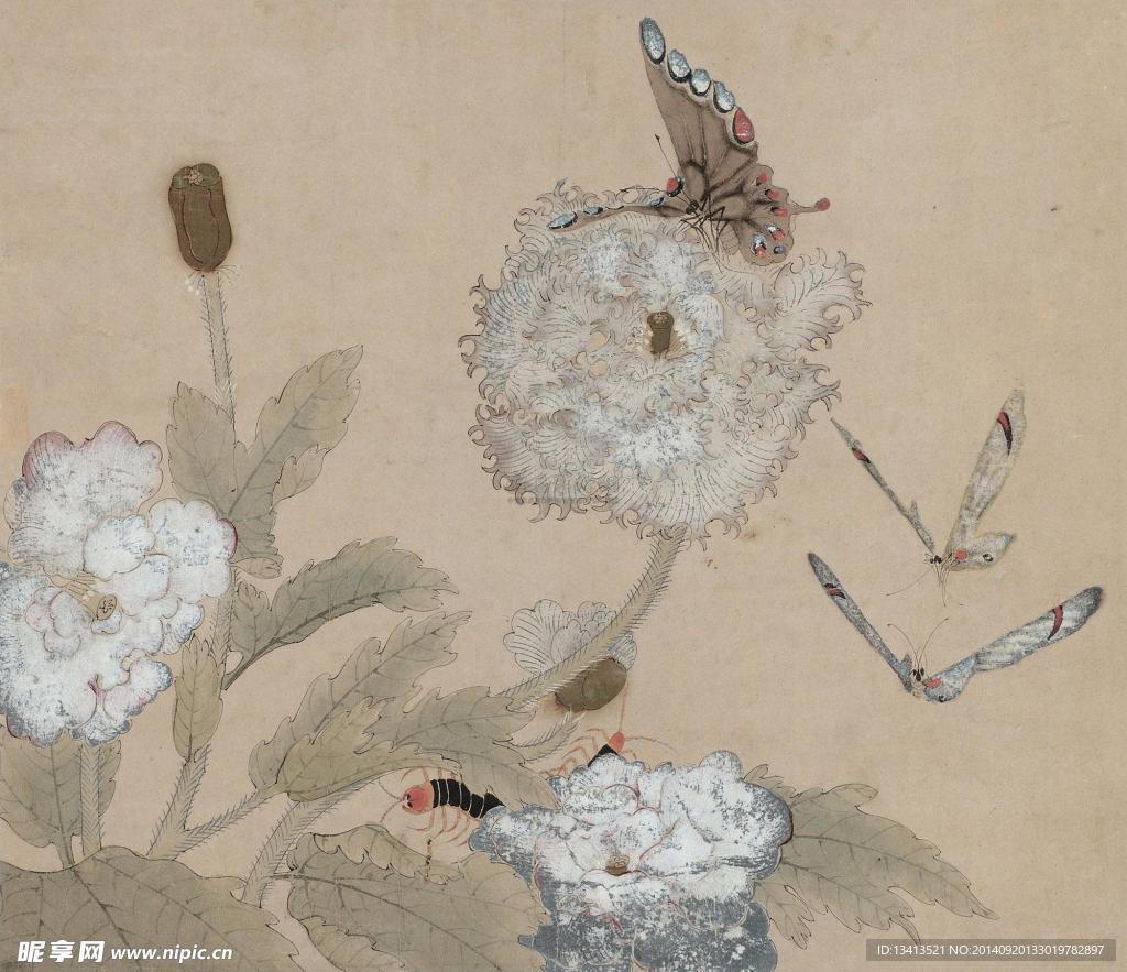 工笔花鸟