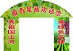 樱香葡萄 果蔬 果树园