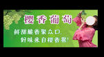 樱香葡萄 果
