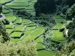 农场