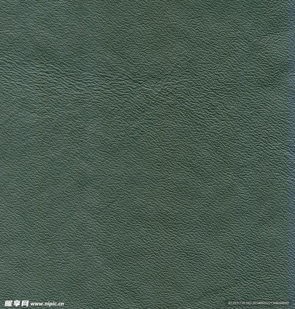 皮纹