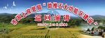 丰收背景
