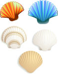 矢量 贝壳
