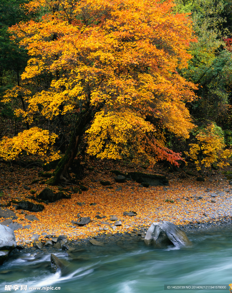 秋天的小河慢慢流