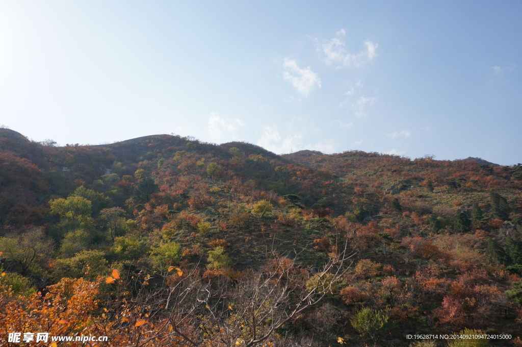 香山秋天