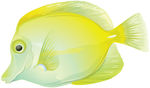 海洋生物