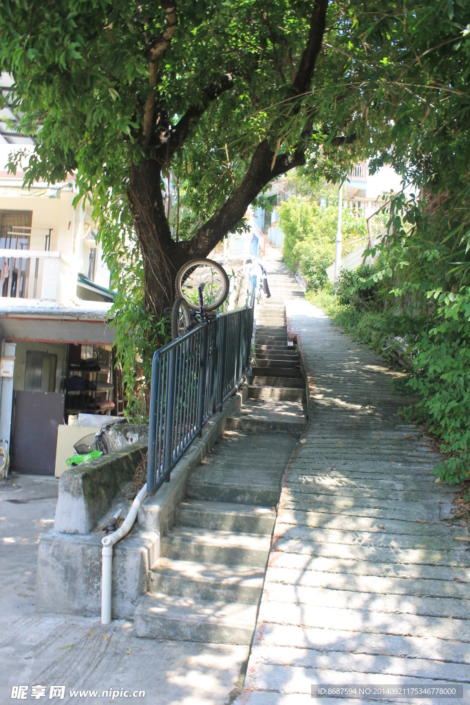 南丫小路