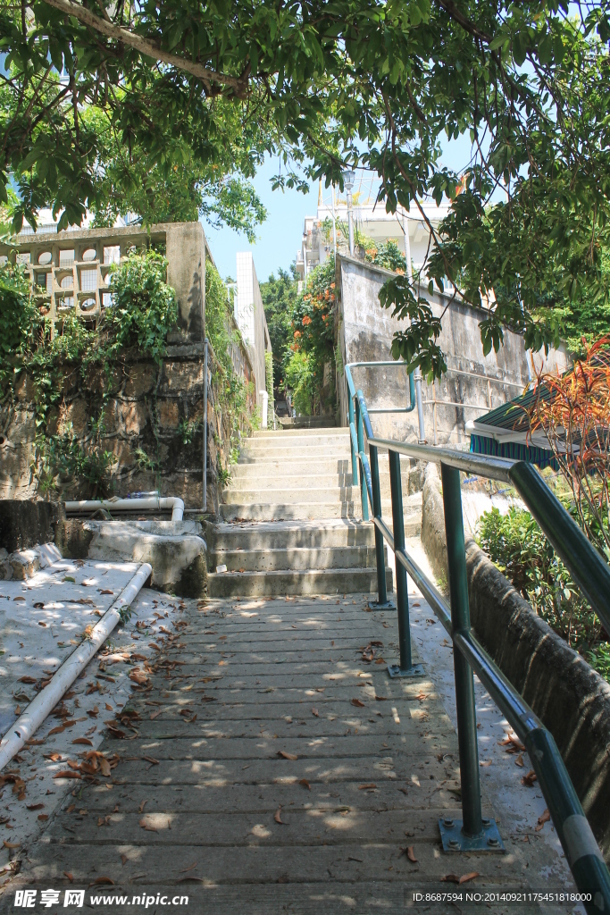 南丫小路