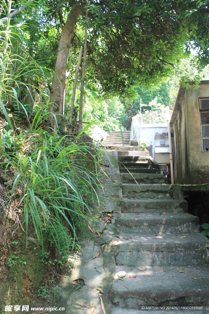 南丫小路