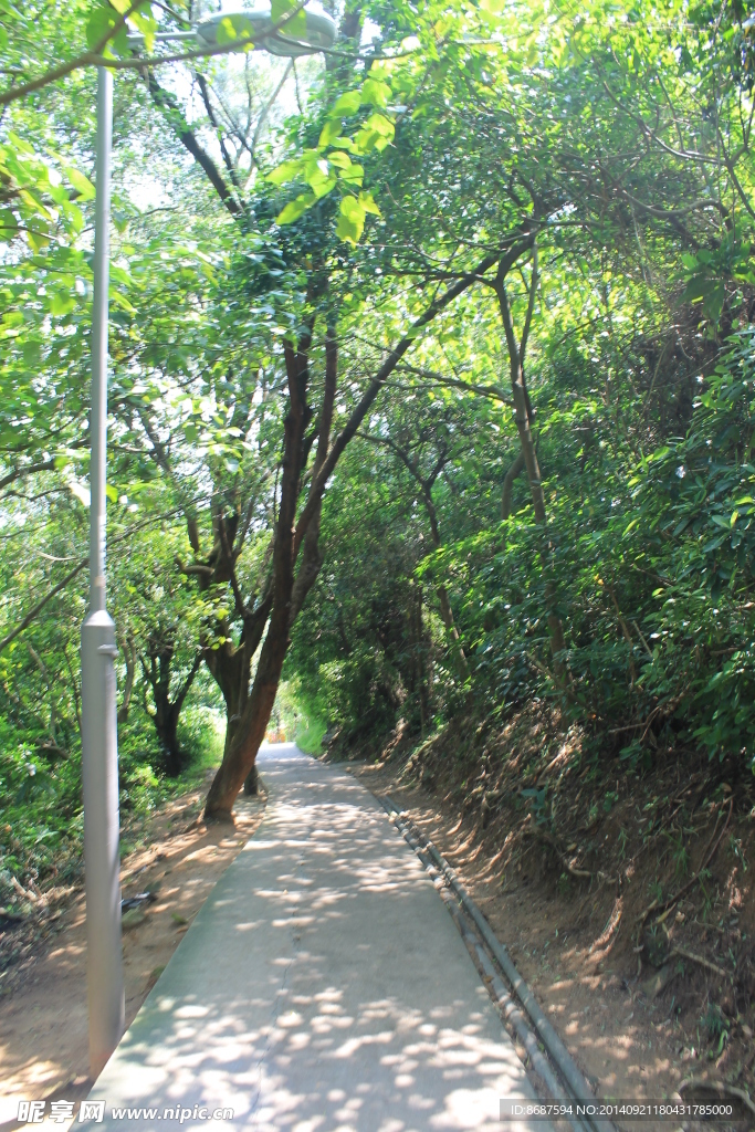 南丫小路
