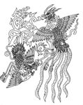 凤凰 飞鸟 矢量线稿 