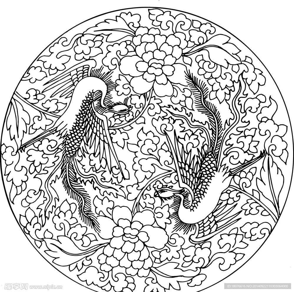 凤凰 飞鸟 矢量线稿 
