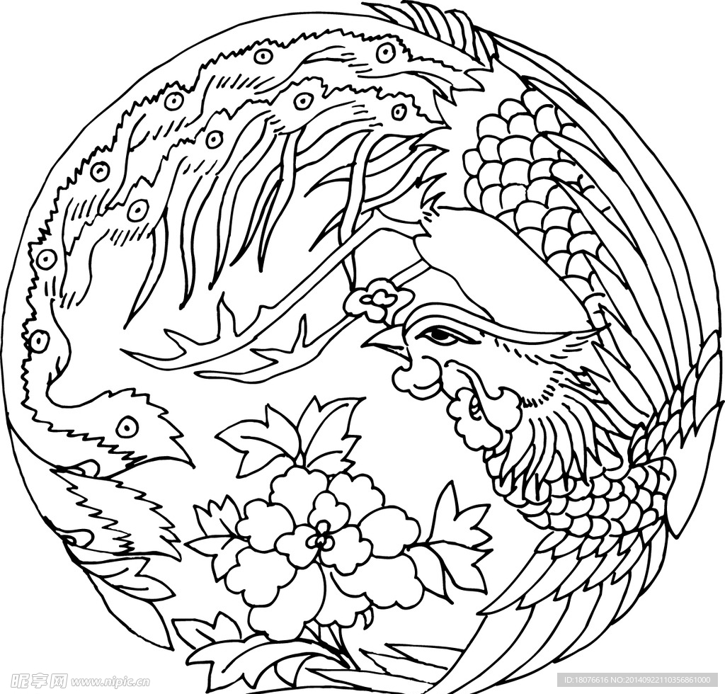 凤凰 飞鸟 矢量线稿 